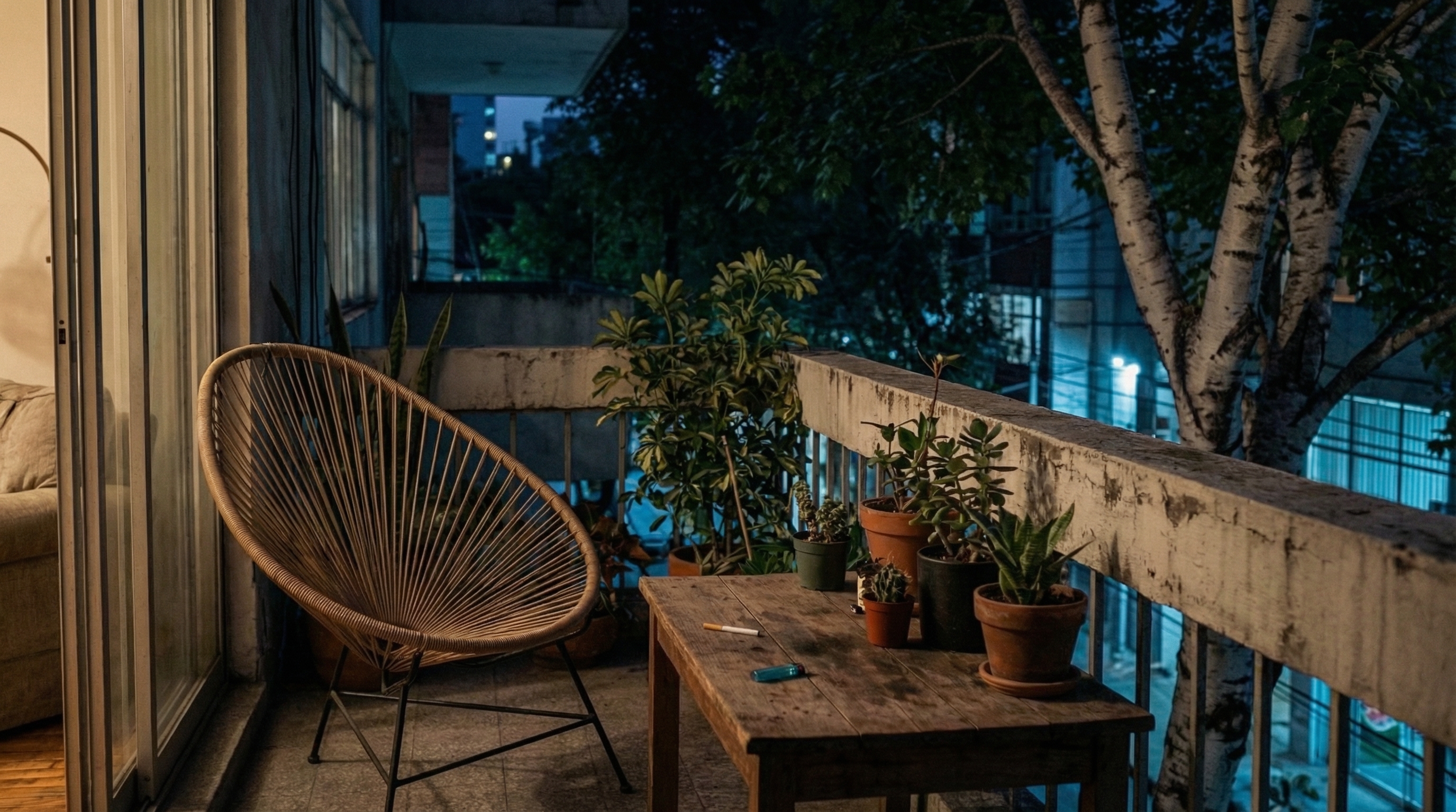 Departamento de Carlos